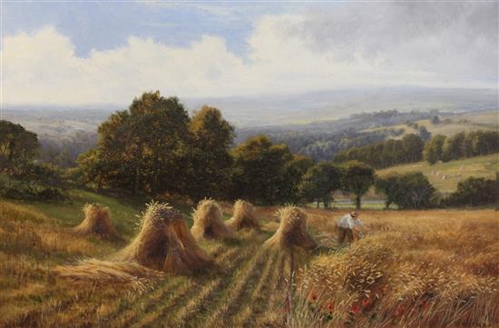 Edmund George Warren (1834-1909) Harvester in a cornfield on the South Downs, 24 x 36in.